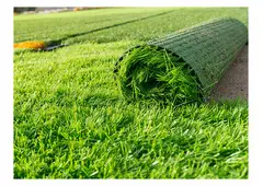 Get the Best Synthetic Grass Perth for Low Maintenance Lawns