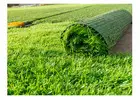 Get the Best Synthetic Grass Perth for Low Maintenance Lawns