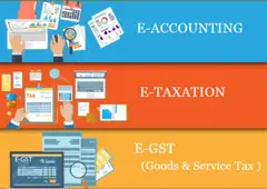 Best Accounting Course in Delhi 110037, SLA Accounting Institute, SAP FICO and ERP Tally