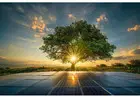 Best solar panel manufacturer company in Rajasthan