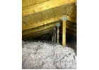 Best Service For Crawl Space Insulation in Guelph