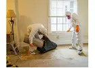 Best Service For Void Cleaning in Slough