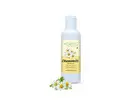 Chamomile Extract