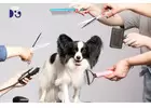 Best Service For Dog Grooming in Holland Village