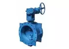 Double Offset Butterfly Valve Manufacturers in India