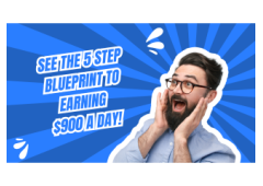 Turn 2 hours a day into $900 Daily with our Proven Blueprint!