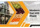 How to Establish a Dal Mill Plant to Expand Your Grocery Business?