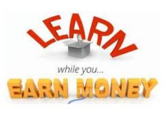 Work from Home Success: Earn $900 Daily with Just 2 Hours Online