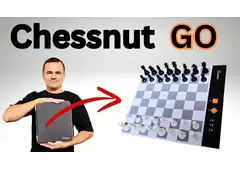 Play Chess Anytime, Anywhere with Chessnut Go!