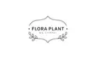 Flora Plant On Chapel