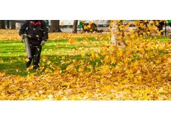 Leaf Removal Services