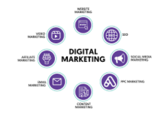 Digital Marketing Business $100 to $300 a Day