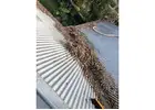 Gutter Cleaning Service in Mosman