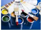 Eco-Friendly Painting Services: What You Need to Know